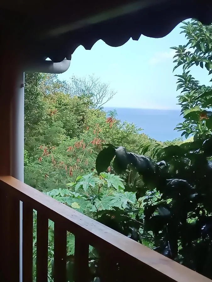 Les Hauts De Falaise Bouillante